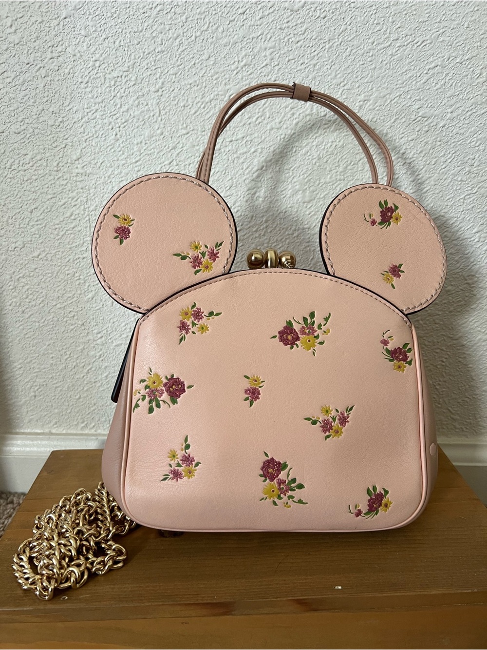 Coach x Disney Floral Print Mini Bag